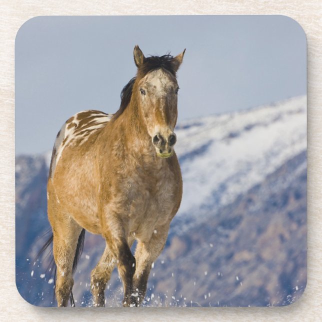Horses Running in Snow Beverage Coaster (Front)