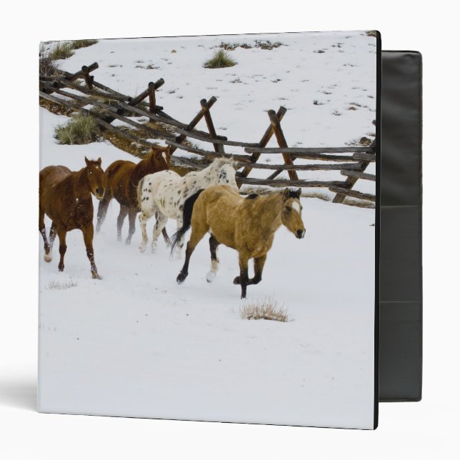 Horses Running in Snow Binder (Front/Inside)