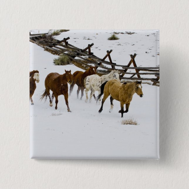 Horses Running in Snow Pinback Button (Front)