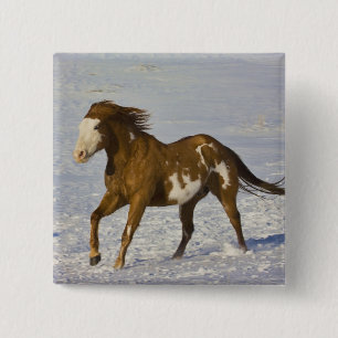 Horses Running in Snow Pinback Button
