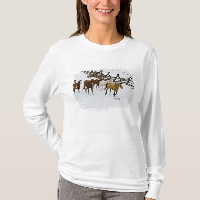 Horses Running in Snow T-Shirt (Front)