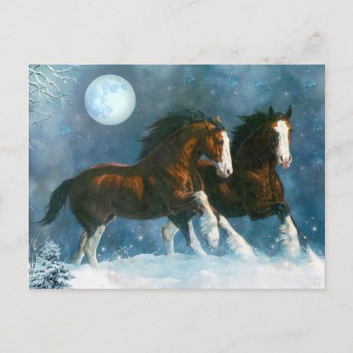 Horses Running In The Snow Postcard