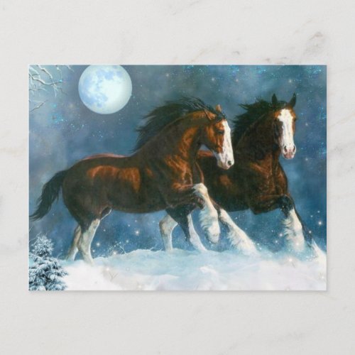 Horses Running In The Snow Postcard