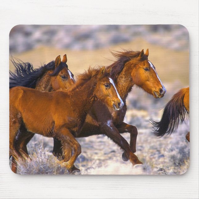 Horses running mouse pad (Front)