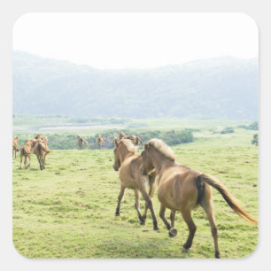 Horses running square sticker