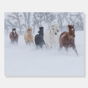 Horses Running Through the Snow Foam Board
