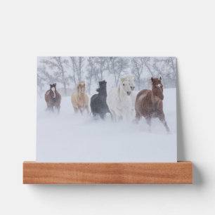 Horses Running Through the Snow Picture Ledge