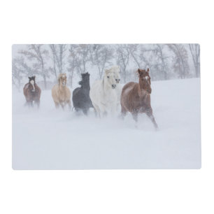 Horses Running Through the Snow Placemat