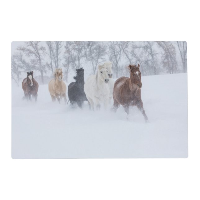 Horses Running Through the Snow Placemat (Front)