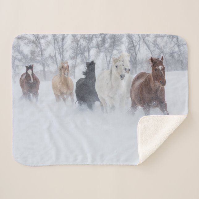 Horses Running Through the Snow Sherpa Blanket (Front (Horizontal))
