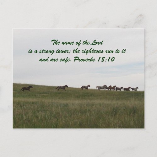 Horses running with scripture Post Card