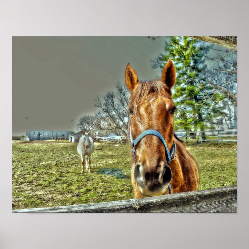 Horses Rustic Country Western Equestrian Farm Poster