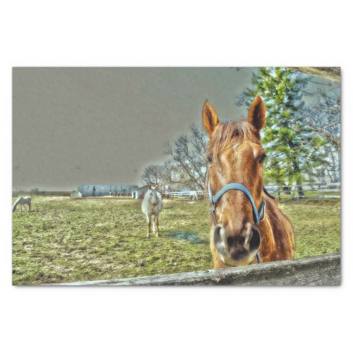 Horses Rustic Country Western Farm Decoupage Tissue Paper