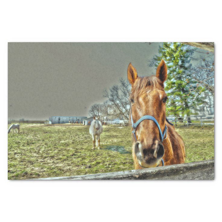 Horses Rustic Country Western Farm Decoupage Tissue Paper Zazzle