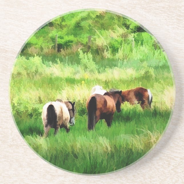 HORSES SANDSTONE COASTER (Front)