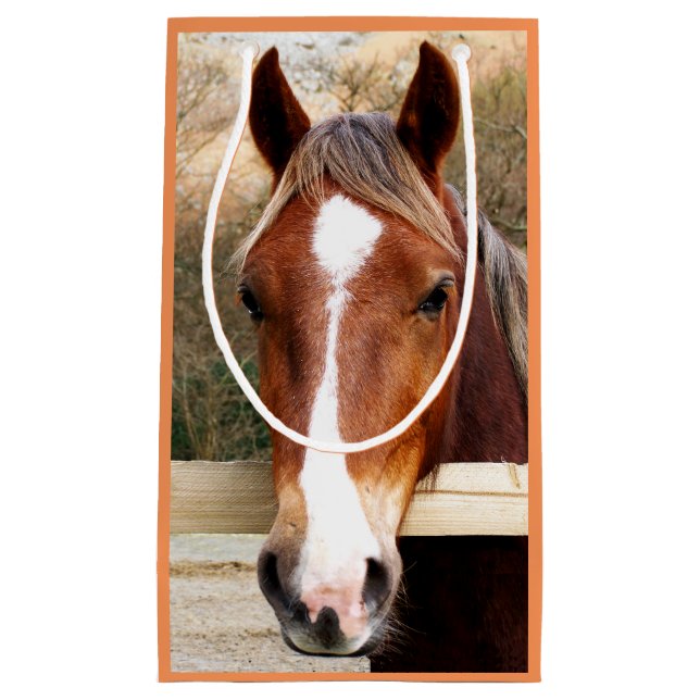 HORSES SMALL GIFT BAG (Front)