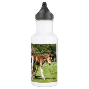 HORSES STAINLESS STEEL WATER BOTTLE