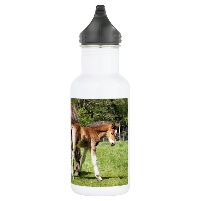 HORSES STAINLESS STEEL WATER BOTTLE (Right)