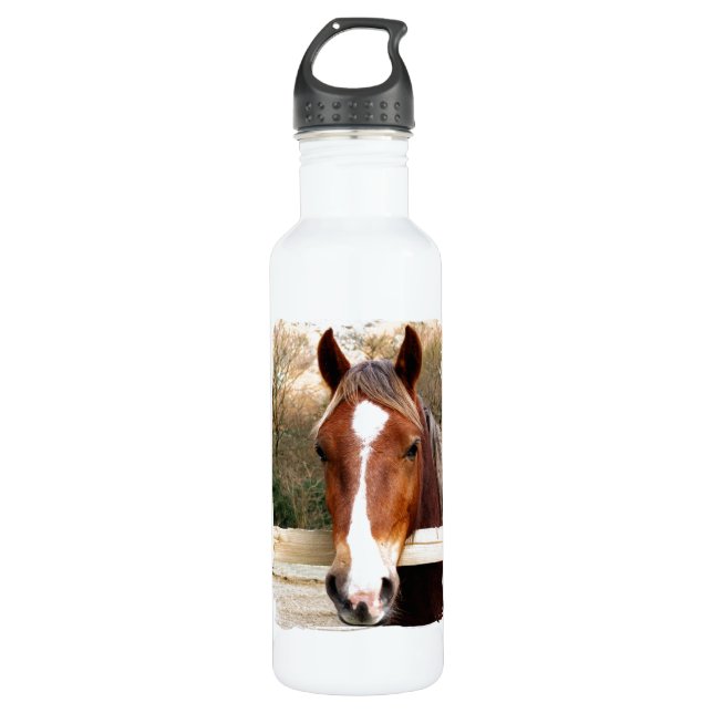 HORSES STAINLESS STEEL WATER BOTTLE (Front)