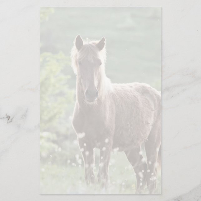 Horses Stationery (Front)
