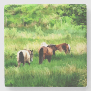 HORSES STONE COASTER