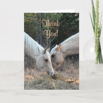 Horses Thank You Card by WalnutCreekAlpacas at Zazzle