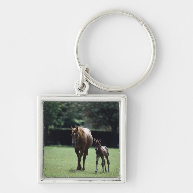 Horses - Thoroughbred, Mare And Foal, Keychain (Front)