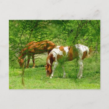 Horses Thru Leaves Custom Postcard Template by PattiJAdkins at Zazzle