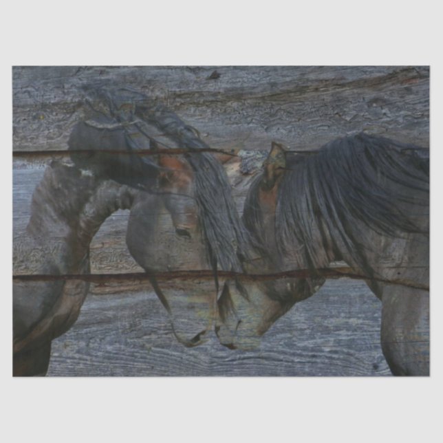 Horses Tissue Paper (Front)