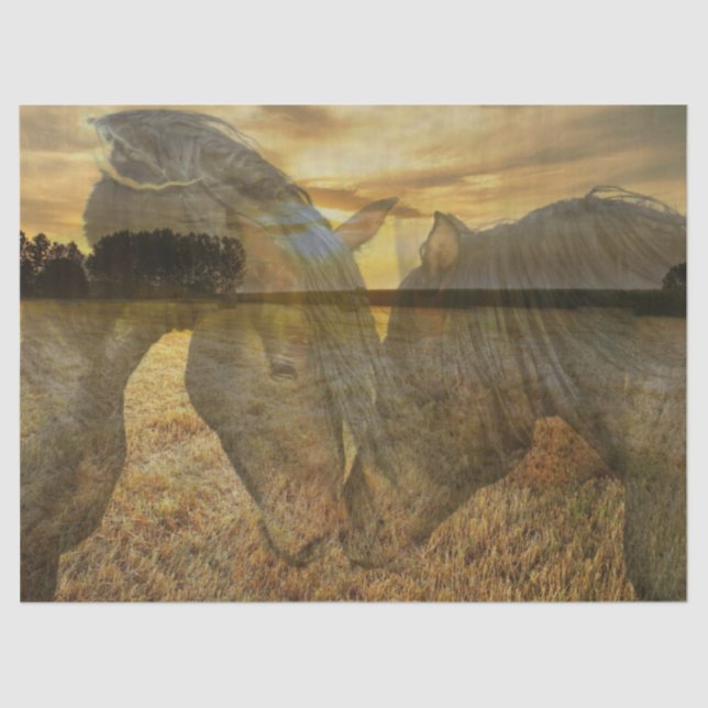 Horses Tissue Paper (Front)