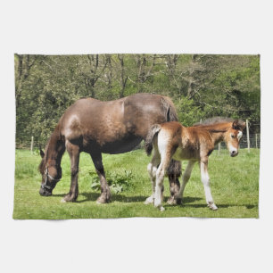 HORSES TOWEL