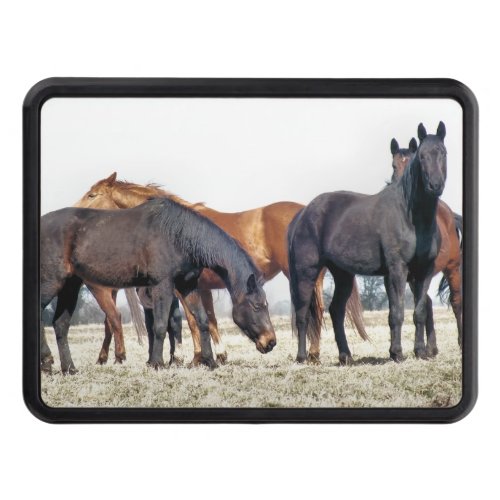 HORSES TRAILER HITCH COVER