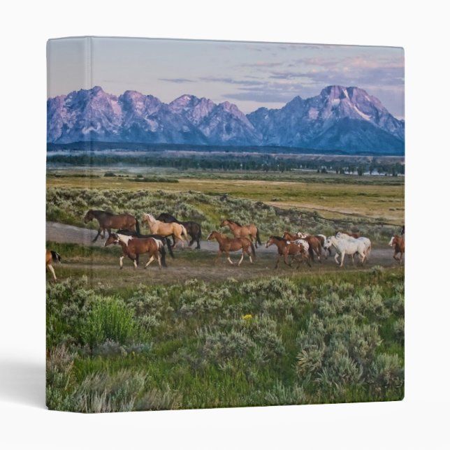 Horses Walk 3 Ring Binder (Front/Spine)
