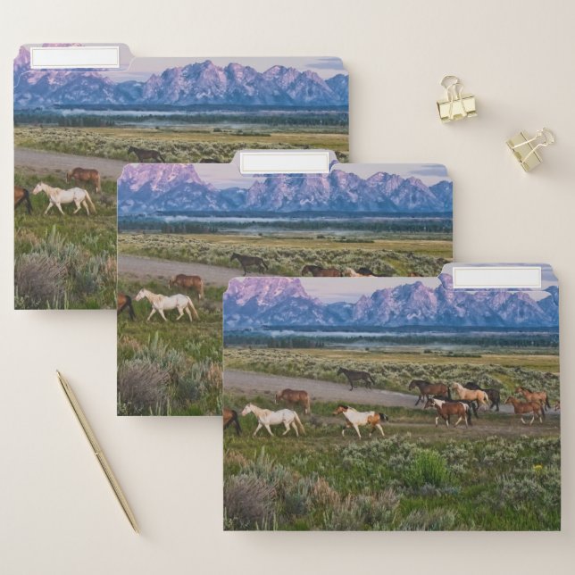 Horses Walk File Folder (Set)