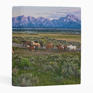 Horses Walk Mini Binder
