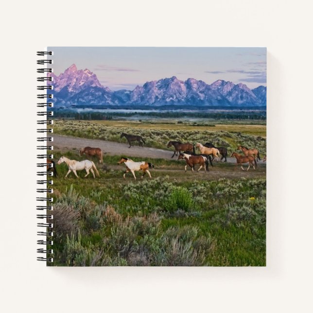 Horses Walk Notebook (Front)