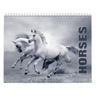 Horses Wall Calendar
