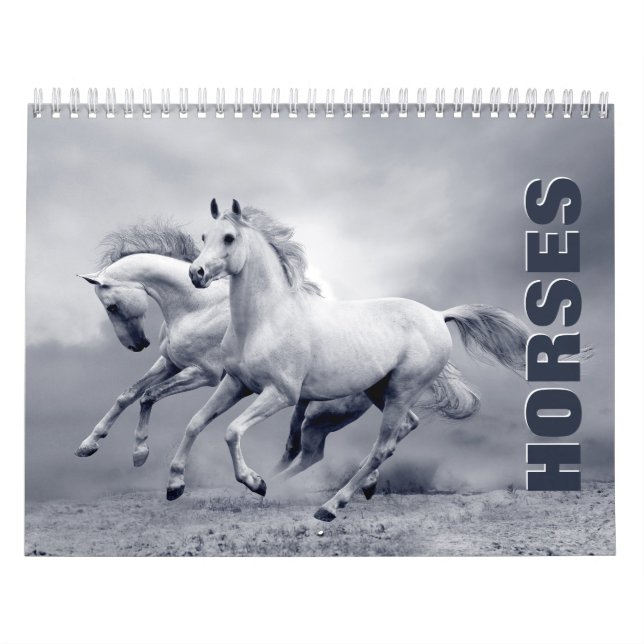 Horses Wall Calendar (Cover)