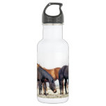 HORSES WATER BOTTLE