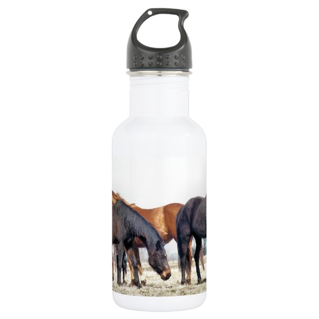 HORSES WATER BOTTLE (Front)
