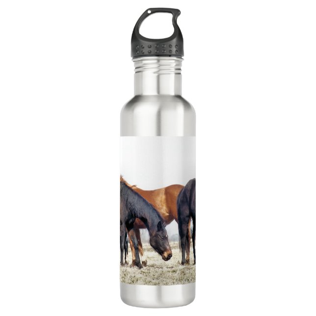 HORSES WATER BOTTLE (Front)