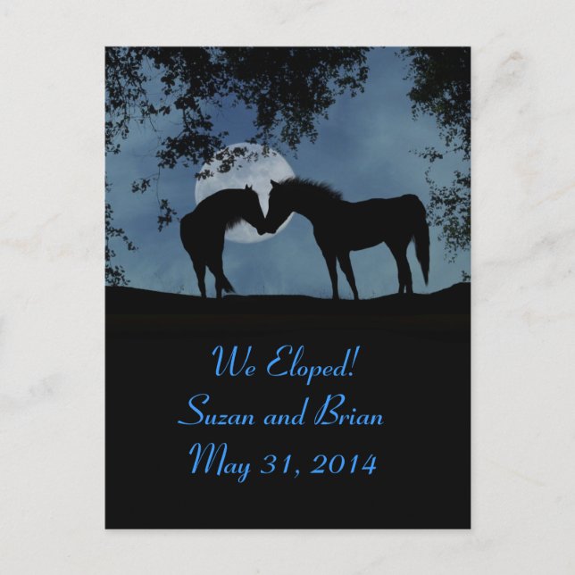 Horses, We Eloped Announcement Postcards! Postcard (Front)