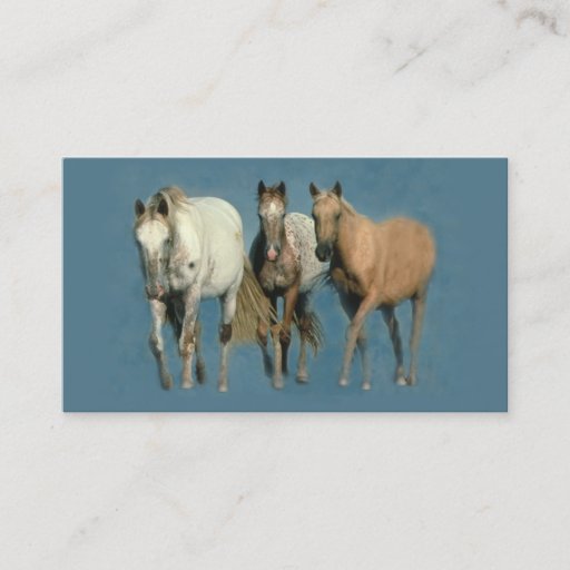 Customizable Horses Wild and Wonderful Business Card