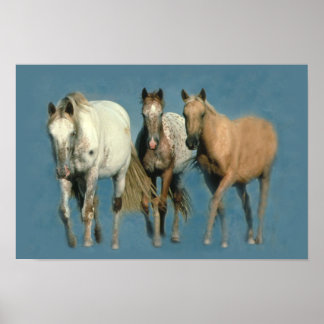 Horses Wild and Wonderful Print
