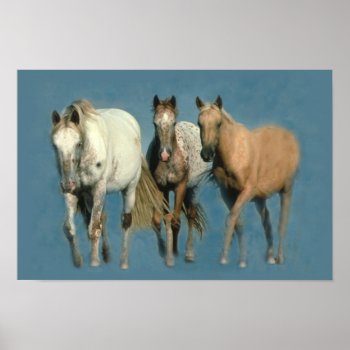 Horses Wild And Wonderful Print by horsesense at Zazzle