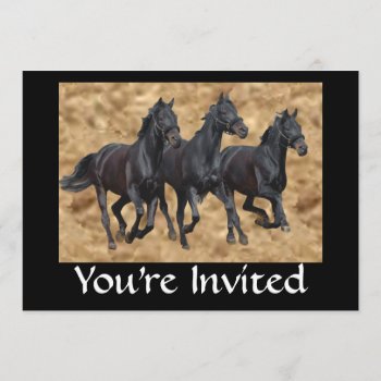 Horses Wild Invitation by horsesense at Zazzle