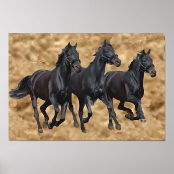 Horses Wild Print by horsesense at Zazzle
