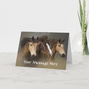 Horses Wild Trio Greeting Card by horsesense at Zazzle