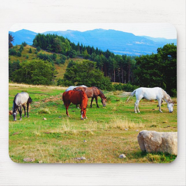 Horses Wildlife Mousepads (Front)