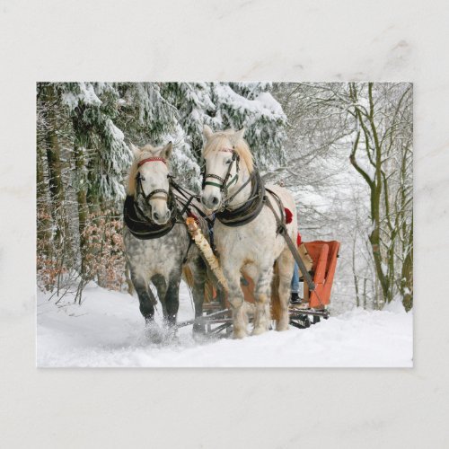 Horses Winter Carriage Slide Postcrossing Postcard